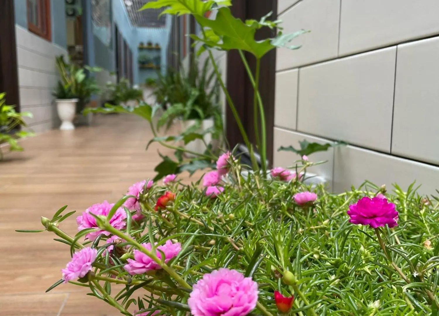 Vania House - Cozy Studio Near The Airport Ho Chi Minh City Vietnam