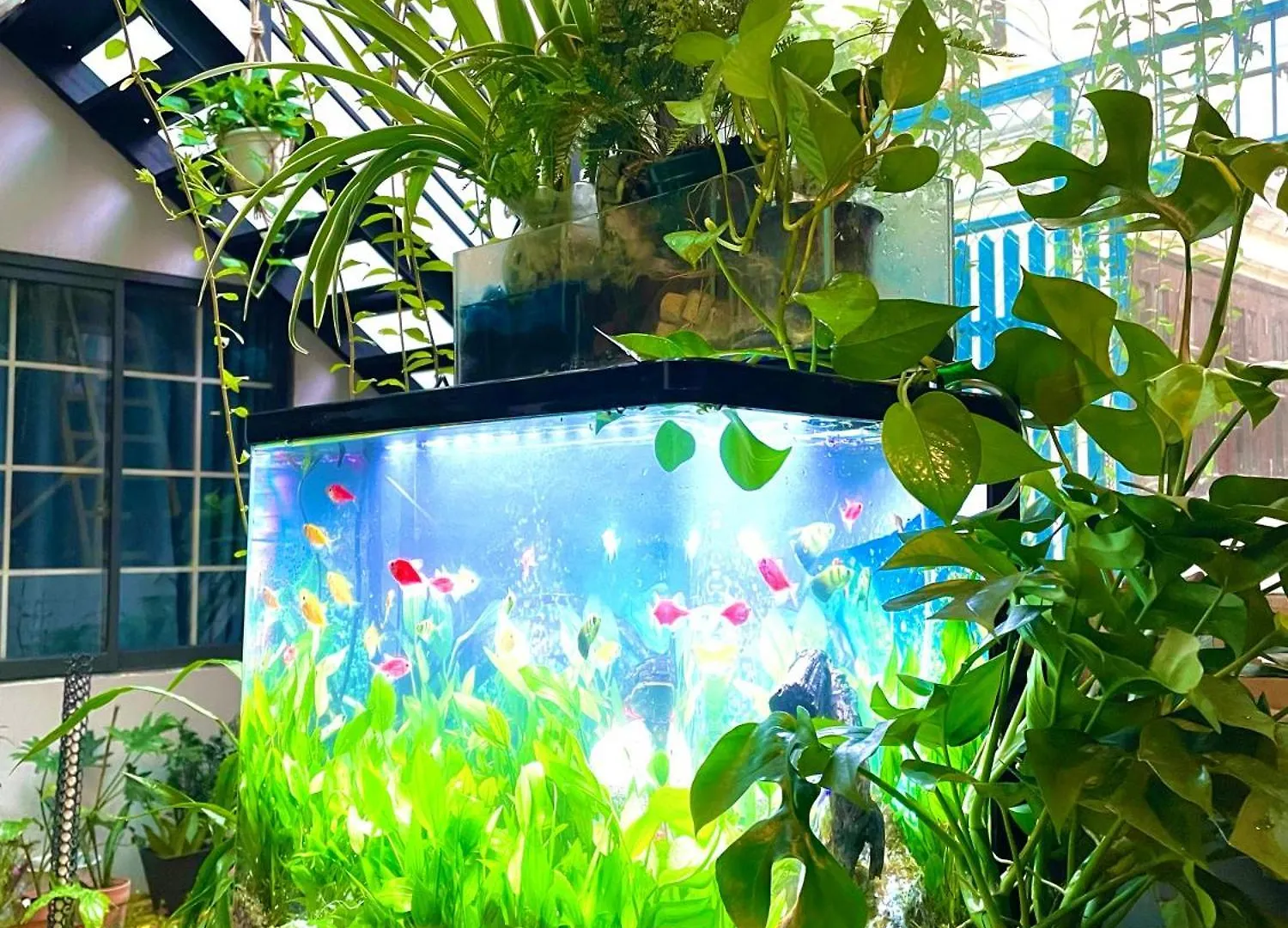 Vania House - Cozy Studio Near The Airport Ho Chi Minh City